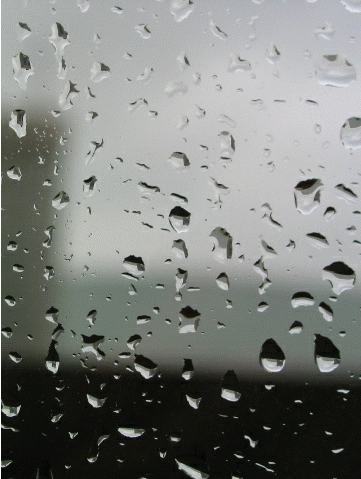 wateronwindow2.gif